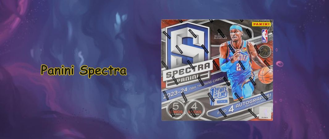 nba karty panini 